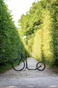 KICKBIKE  Sport MAX 20 Roller