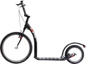 KOSTKA   Roller
