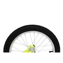 KOSTKA   Roller