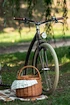 KOSTKA TOUR  Roller