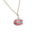 Medál egy láncon NHL Montreal Canadiens