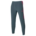 Mizuno  Charge Printed Pant Turbulence Női nadrág