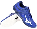 Mizuno    Férfiteremcipő
