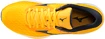 Mizuno  Wave Rider   Férfi futócipő