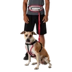 Nathan  K9 Series Runner's Waistpack With Leash  Futóöv