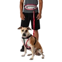 Nathan  K9 Series Runner's Waistpack With Leash  Futóöv