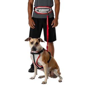 Nathan  K9 Series Runner's Waistpack With Leash  Futóöv