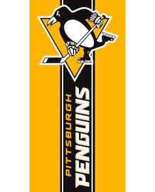 NHL Pittsburgh Penguins övtörölköző
