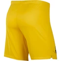 Nike   Boxeralsók