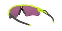 Oakley Radar EV Path Retina Burn w/ PRIZM Road Sportszemüveg