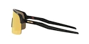 Oakley Sutro Lite Matte Carbon/Prizm 24k Sportszemüveg