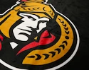 Official Merchandise  NHL Ottawa Senators Black Törülköző