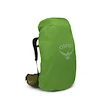 OSPREY ATMOS AG LT 65 scenic valley/green peppercorn  Férfihátizsák