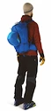 OSPREY  Kamber 20 alpine blue  Hátizsák