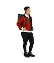 OSPREY TRANSPORTER ROLL TOP PACK euphoria purple/purple ink  Hátizsák