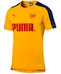 Puma   Férfipóló