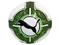 Puma    Labda