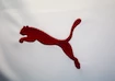 Puma    Mez