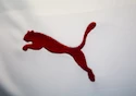 Puma    Mez