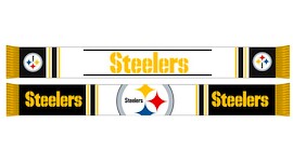 Sál Forever Collectibles NFL Pittsburgh Steelers NFL Pittsburgh Steelers