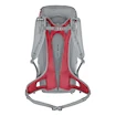 Salewa  Alp Mate 30 WS Alloy  Hátizsák