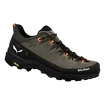 Salewa  Alp Trainer 2 Bungee Cord/Black  Férfi kültéri lábbelik