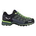 Salewa  MS MTN Trainer Lite Gtx Myrtle/Ombre Blue  Férfi kültéri lábbelik UK 9,5