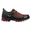 Salewa  MTN Trainer 2 GTX  Női kültéri cipők UK 4,5