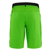 Salewa  Puez 3 Dst Pale Frog Férfirövidnadrág