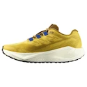 Salomon Aero Blaze 3 GRVL Spicy Mustard/Vanilla Ice/Nautical Blue   Férfi futócipő