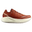 Salomon Aero Glide 3 GRVL Burnt Ochre/Vanilla Ice/Etherea   Női futócipő