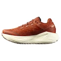 Salomon Aero Glide 3 GRVL Burnt Ochre/Vanilla Ice/Etherea   Női futócipő