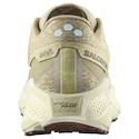 Salomon Aero Glide 3 GRVL Green Haze/Vanilla Ice/Russet   Férfi futócipő