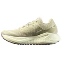 Salomon Aero Glide 3 GRVL Green Haze/Vanilla Ice/Russet   Férfi futócipő