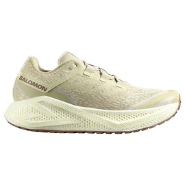 Salomon Aero Glide 3 GRVL Green Haze/Vanilla Ice/Russet Férfi futócipő