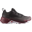 Salomon  CROSS HIKE GTX 2 W  Női kültéri cipők