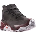 Salomon  CROSS HIKE GTX 2 W  Női kültéri cipők