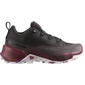 Salomon  CROSS HIKE GTX 2 W  Női kültéri cipők
