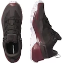 Salomon  CROSS HIKE GTX 2 W Shale/Wild Ginger/Cradle Pink  Női kültéri cipők