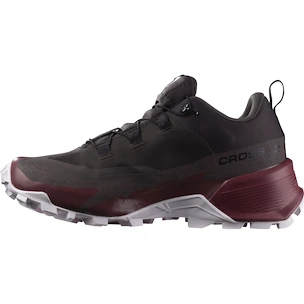 Salomon  CROSS HIKE GTX 2 W Shale/Wild Ginger/Cradle Pink  Női kültéri cipők UK 5