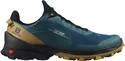 Salomon  Cross Over Gore-Tex  Férficipő