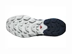 Salomon  ELIXIR ACTIV Glacier Gray/Carbon/Slate Green  Férfi kültéri lábbelik