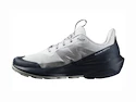 Salomon  ELIXIR ACTIV Glacier Gray/Carbon/Slate Green  Férfi kültéri lábbelik