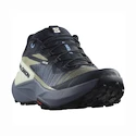 Salomon GENESIS W Carbon/Grisaille/Aloe Wash Női futócipő