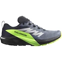 Salomon  GTX Flint/Black/Grgeck  Férfi futócipő UK 11