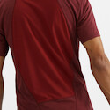 Salomon  Outline SS Tee Cabernet  Férfipóló