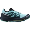 Salomon Pulsar Trail   Férfi futócipő