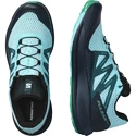 Salomon Pulsar Trail   Férfi futócipő