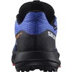 Salomon Pulsar Trail GTX Dazzling Blue  Férfi futócipő