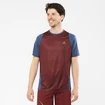 Salomon Sense Aero SS Tee Cabernet Férfipóló